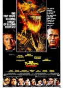 火烧摩天楼 The Towering Inferno            (1974)
