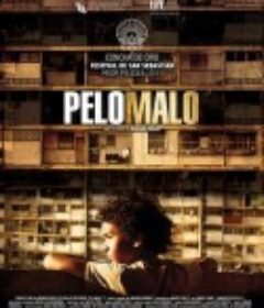 坏头发 Pelo malo            (2013)