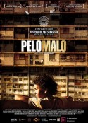 坏头发 Pelo malo            (2013)