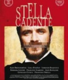 星落 Stella cadente            (2014)