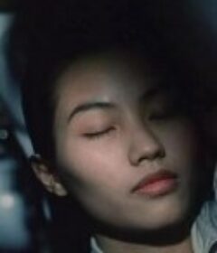 望夫石 La pierre de l'attente            (1991)