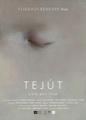 银河 Tejút            (2007)