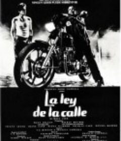 斗鱼 Rumble Fish            (1983)