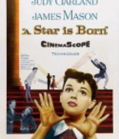 一个明星的诞生 A Star Is Born            (1954)