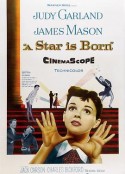 一个明星的诞生 A Star Is Born            (1954)