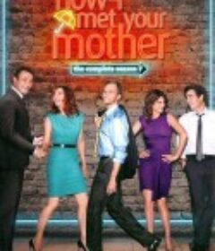 老爸老妈的浪漫史 第七季 How I Met Your Mother Season 7            (2011)