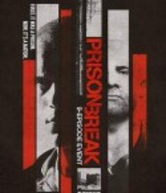 越狱 第五季 Prison Break Season 5            (2017)