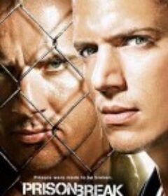 越狱  第三季 Prison Break Season 3            (2007)