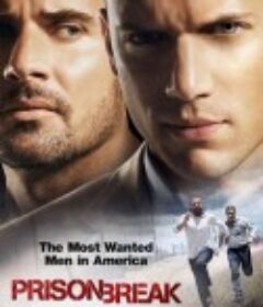 越狱  第二季 Prison Break Season 2            (2006)