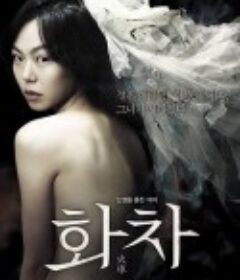 火车 화차            (2012)