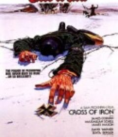 铁十字勋章 Cross of Iron            (1977)