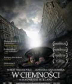 黑暗弥漫 W ciemności            (2011)