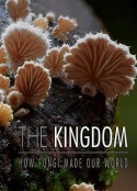 真菌如何造就世界 The Kingdom: How Fungi Made Our World            (2018)