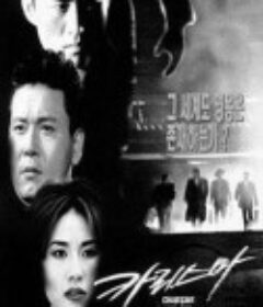 汉城黑帮 카리스마            (1996)
