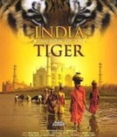 印度：老虎王国 India: Kingdom of the Tiger            (2002)