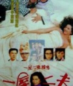 一妻两夫 一妻兩夫            (1988)
