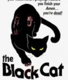 黑猫 The Black Cat            (1981)