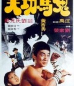 鬼马功夫            (1978)