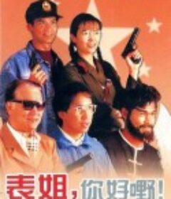 表姐，你好嘢！2            (1991)