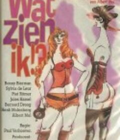 在商言商 Wat zien ik?            (1971)