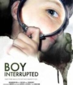 双相青春 Boy Interrupted            (2008)