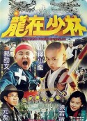 龙在少林 龍在少林            (1996)