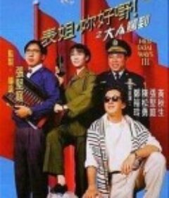 表姐，你好嘢！3之大人驾到            (1992)