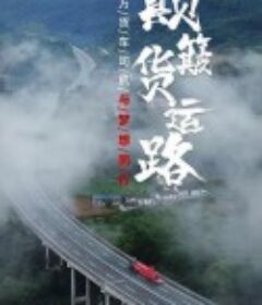 颠簸货运路            (2020)