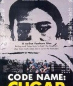 代号美洲豹            (1989)