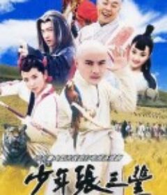 少年张三丰            (2001)