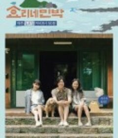 孝利家民宿 第一季 효리네민박            (2017)