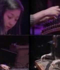 中国摇滚在柏林 Rock in Berlin "THE CHINESE AVANT-GARDE"            (1993)