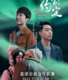 20年的约定 20年的約定            (2021)