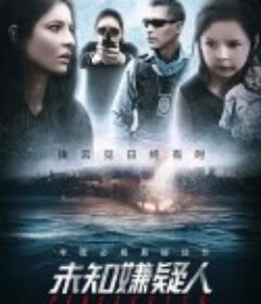 未知嫌疑人 Perseguida            (2019)