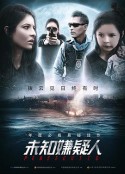 未知嫌疑人 Perseguida            (2019)