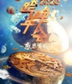 2020浙江卫视跨年演唱会            (2019)