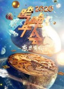2020浙江卫视跨年演唱会            (2019)