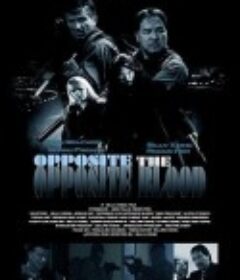 杀手血战 Opposite The Opposite Blood            (2018)