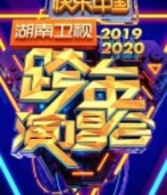 2020湖南卫视跨年演唱会            (2019)