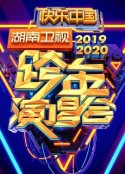 2020湖南卫视跨年演唱会            (2019)