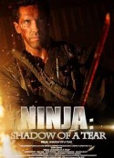 忍者2：撕裂的暗影 Ninja: Shadow Of A Tear            (2013)