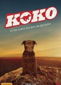 Koko:红犬历险记 Koko: A Red Dog Story            (2019)