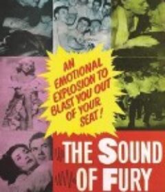 愤怒之声 The Sound of Fury            (1950)