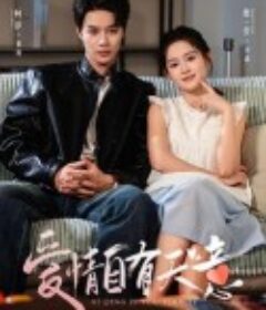 爱情自有天意            (2024)