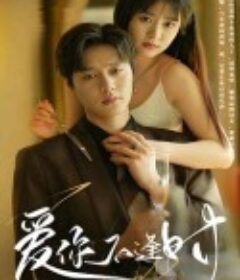 爱你不逢时            (2024)