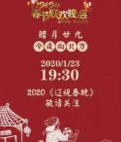 2020年辽宁卫视春节联欢晚会            (2020)