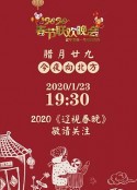 2020年辽宁卫视春节联欢晚会            (2020)