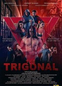 铁三角：正义之战 The Trigonal: Fight for Justice            (2018)
