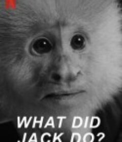 杰克做了什么？ What Did Jack Do?            (2020)
