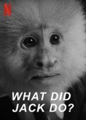 杰克做了什么？ What Did Jack Do?            (2020)